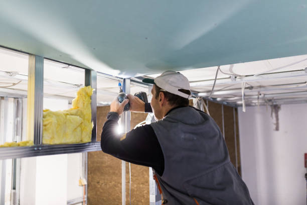 Best Local Insulation Services  in Golden Grove, SC